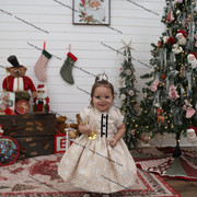 IMG 4210