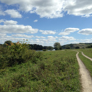 IMG-4120