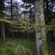 IMGP3625