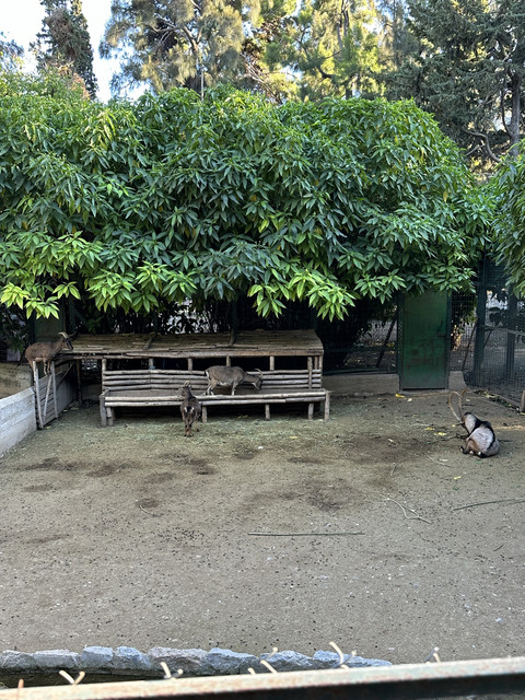 IMG-7359