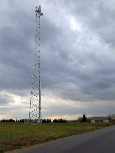 IMG-4441