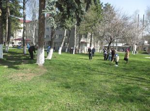 IMG-3490-2