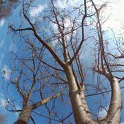 RE-Camera