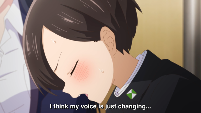 voice