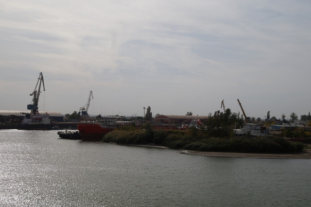 DSC08257.jpg