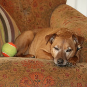 IMG 5783