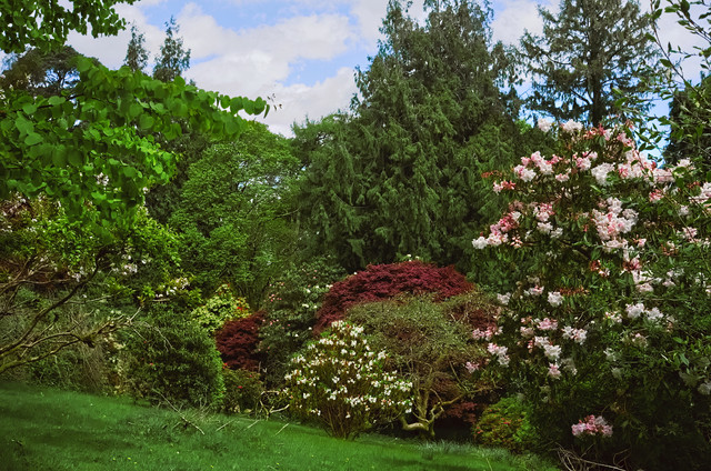 DSCF4949-5.jpg