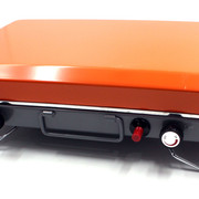 DLC-38455-2