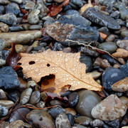 DSC04107