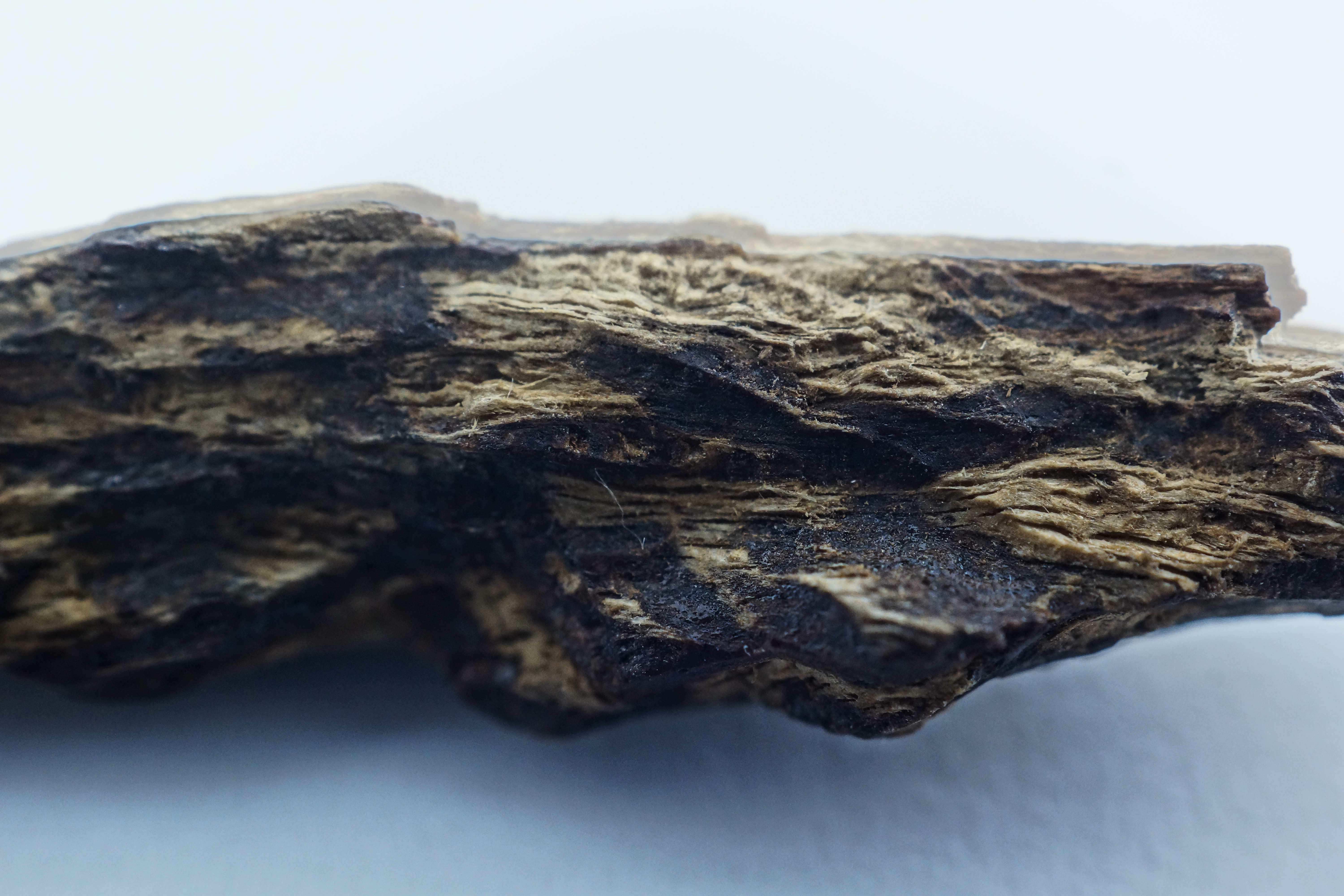[Ouddict.com] Oud Photos