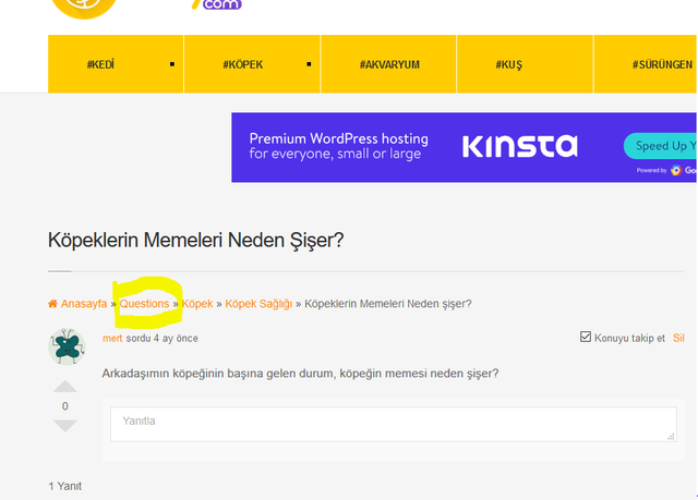qa breadcrumb