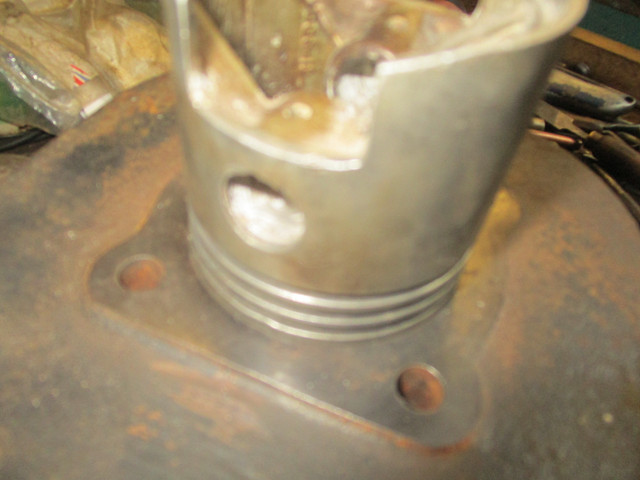 IMG-9863.jpg