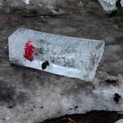 IMG-0318