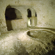 OLYMPUS-DIGITAL-CAMERA