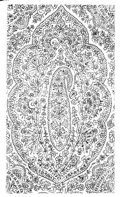 shutterstock 1971858596.jpg