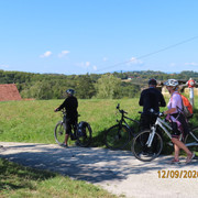 IMG 3454