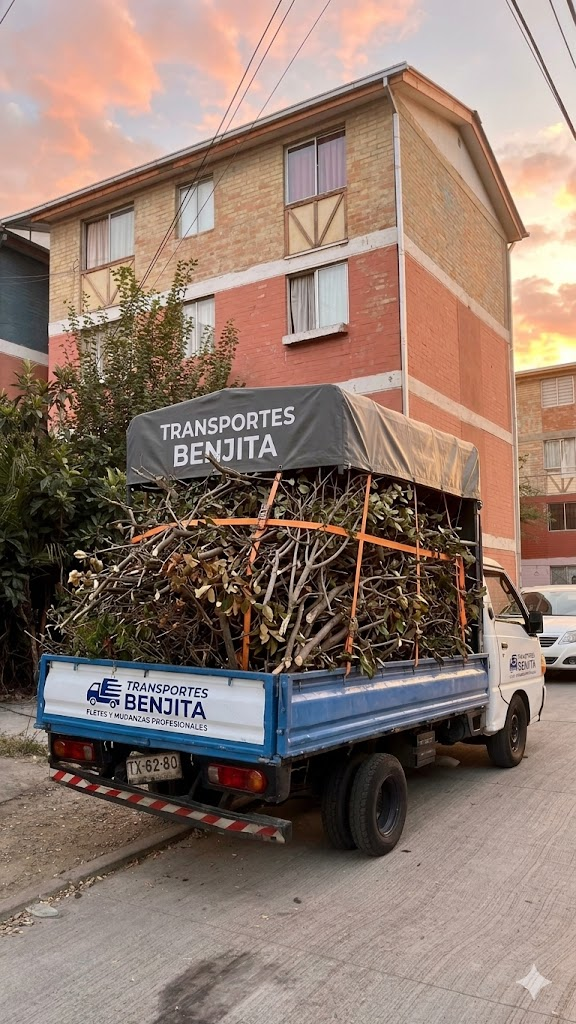 Retiro de Ramas