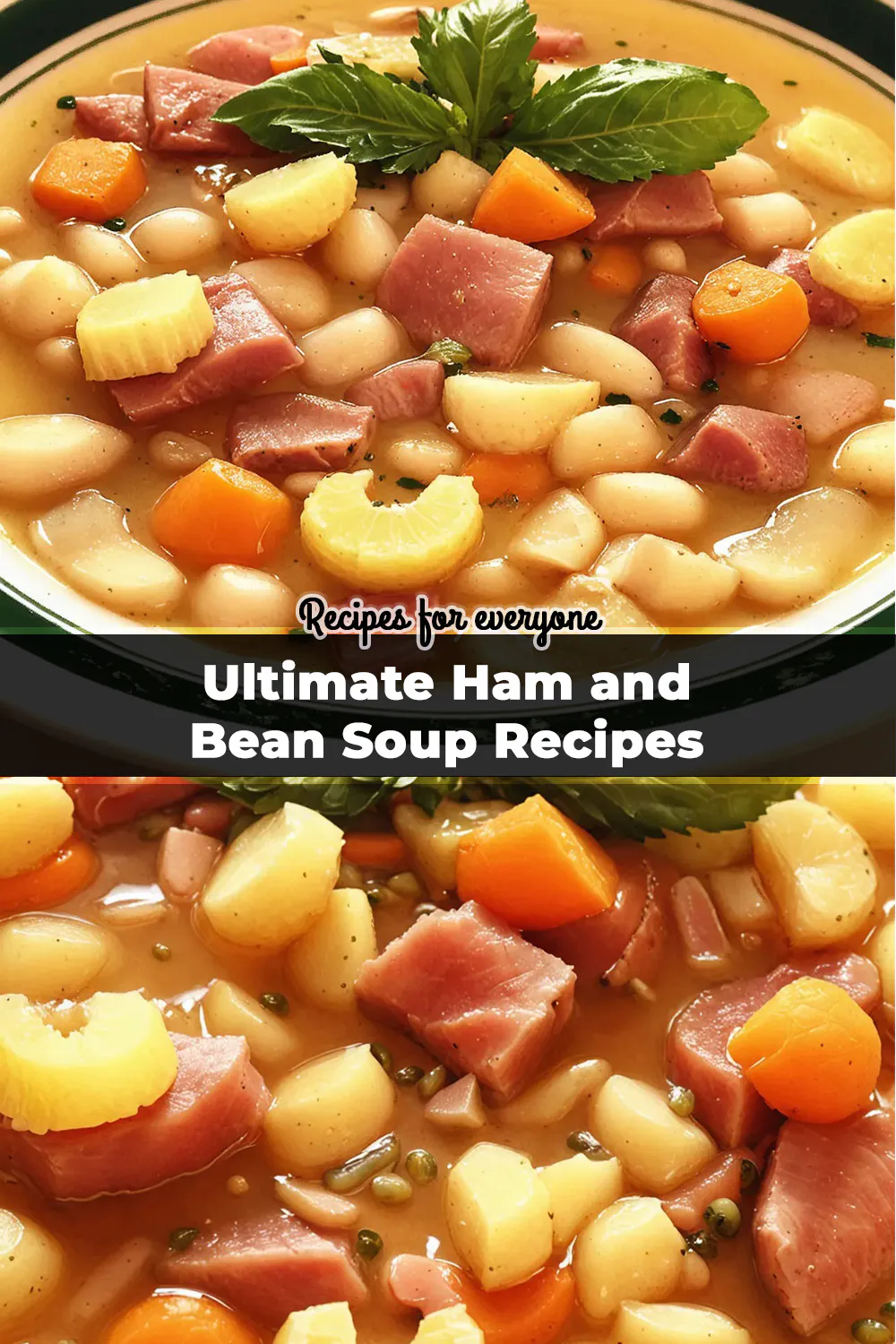 Ultimate Ham and Bean Soup Recipes for Every Meal
