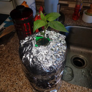 20191123_084857
