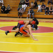 IMG-0029