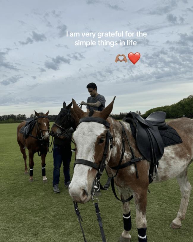 Ella se mostró a sí misma y al ex alumno de One Direction montando a caballo.Tiktok/kateecass