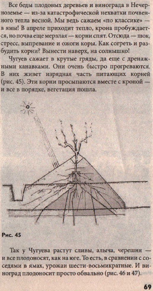 67