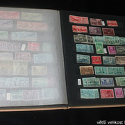 IMG-2536