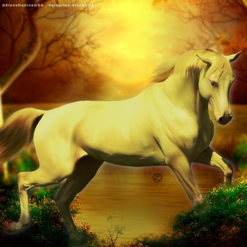 Webp-net-compress-image-10.jpg
