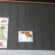IMG-2340