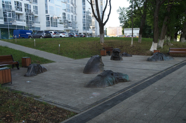 DSC06903.jpg