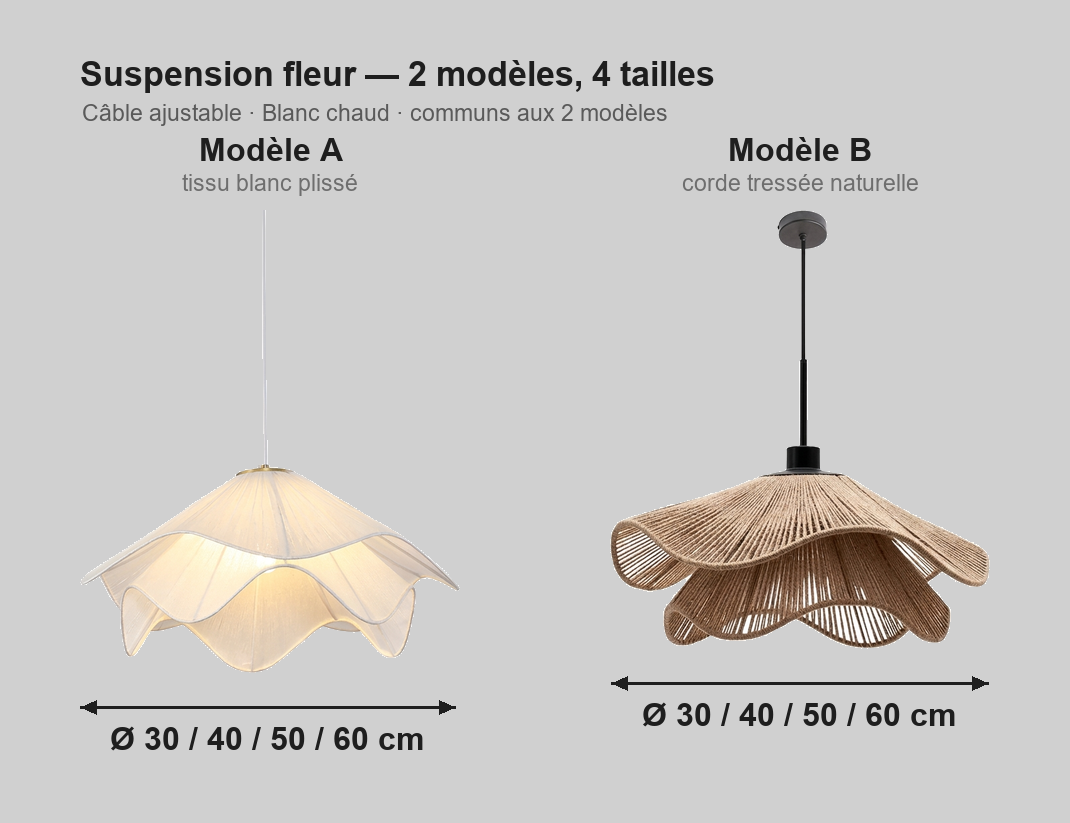 Suspension, schéma des caractéristiques et dimensions