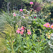 garden3