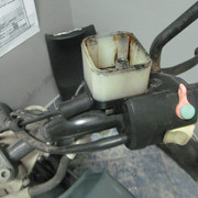 IMG 0344