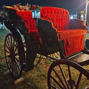 carriage-night