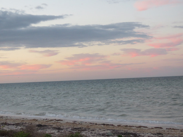 Playita