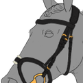ansuitset4 04