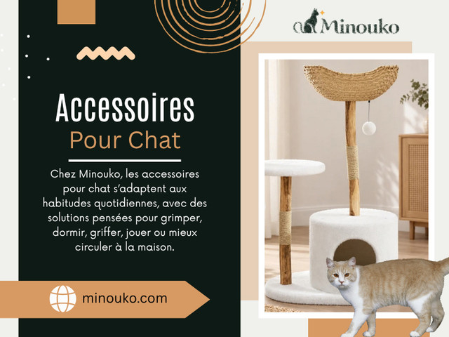 Les accessoires pour chat les plus utiles ne sont pas forcément les plus nombreux. Un équipement bien choisi et correctement placé peut avoir davantage de valeur qu'une collection entière laissée dans un coin.

Minouko
Adresse: 32 Rue de Cénac, 33100 Bordeaux, France
Téléphone : +33 6 38 69 55 49

Lisez nos blogs:

https://minouko.mystrikingly.com
https://minouko.yooco.org
https://minouko.weebly.com

Autres liens:

https://www.blurb.com/user/minouko
https://www.mixcloud.com/minouko/
https://band.us/@minouko