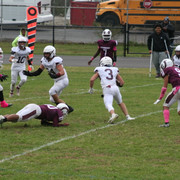 IMG-0288