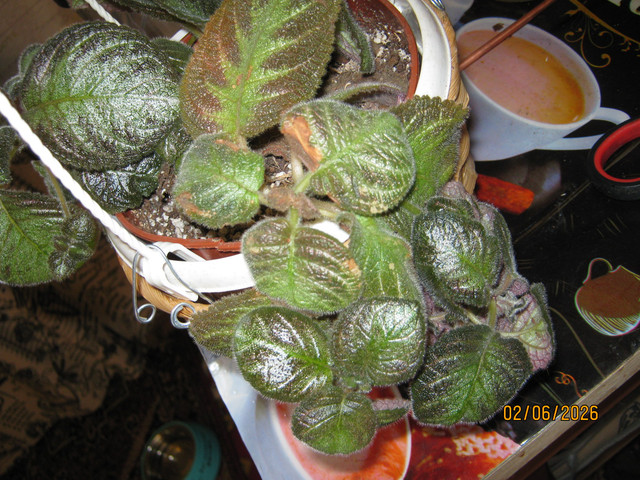 IMG 6417.jpg