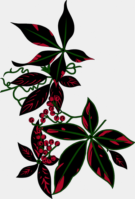 08d571aa3862b1cb563ee3c07b47a197.png