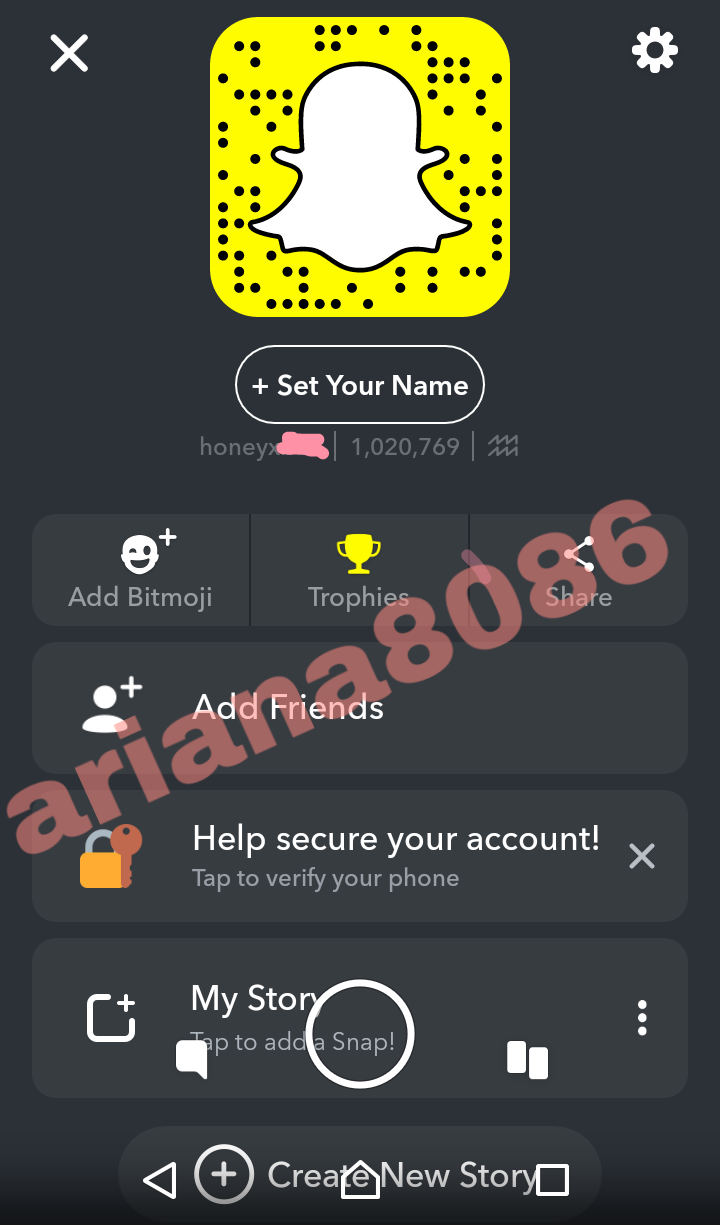 Sold Snapchat accounts 1 million score PlayerUp