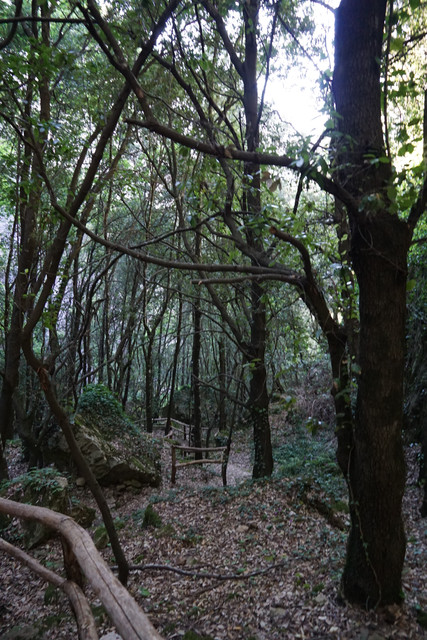 DSC08386.jpg