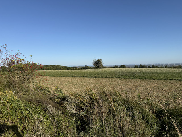 IMG-0372