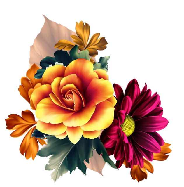 e76e281c768ca8267cbd69bc8f43855f.png