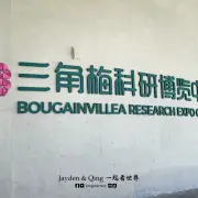三角梅科博园5