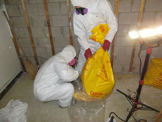 Asbestos Removal