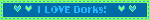 IMG 2646.gif