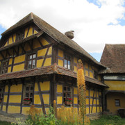 IMG 3644
