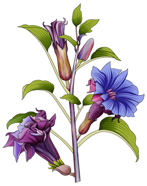 bb2a1750567d483729c7aedbaf5adb23.png