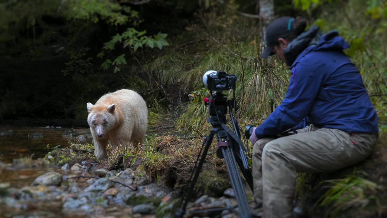 Photographer Screenshot